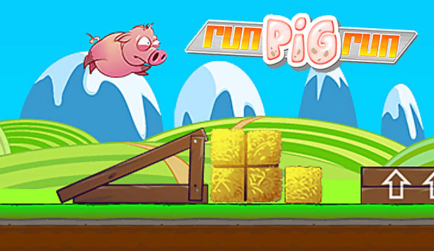 Correr carrera de cerdos