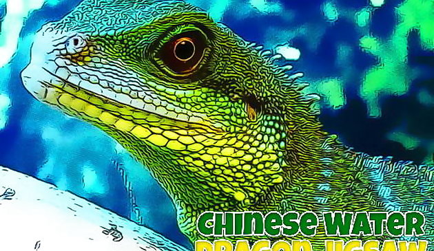 Rompecabezas del dragón de agua chino