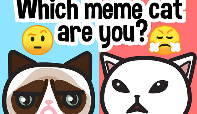 Qual gato meme é você?