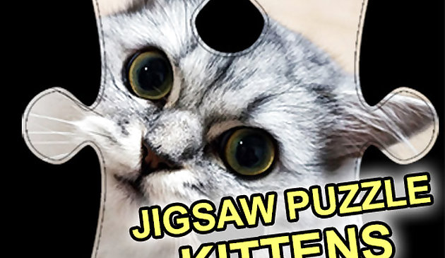 Chatons puzzle puzzle