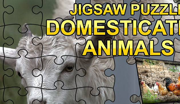 Jigsaw Puzzle Animais Domesticados