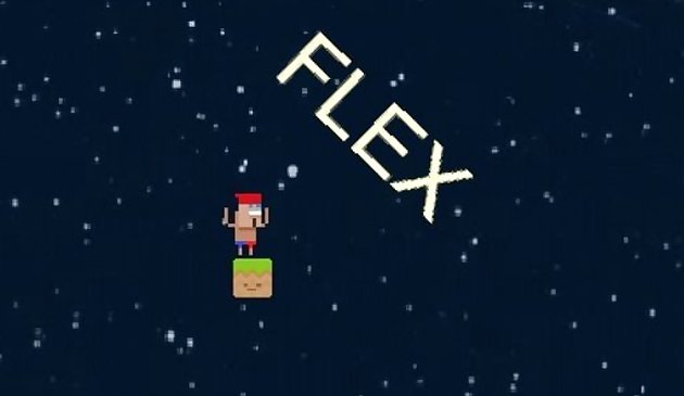 HardFlex The Last Flex