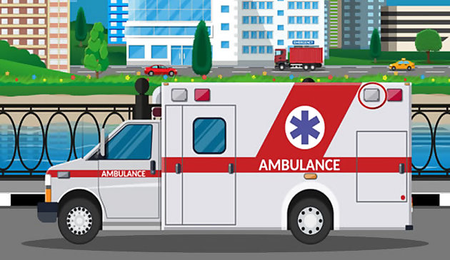 Ambulans Kamyonları Farkları