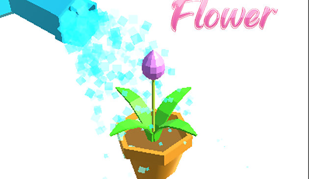 Wasser die Blume