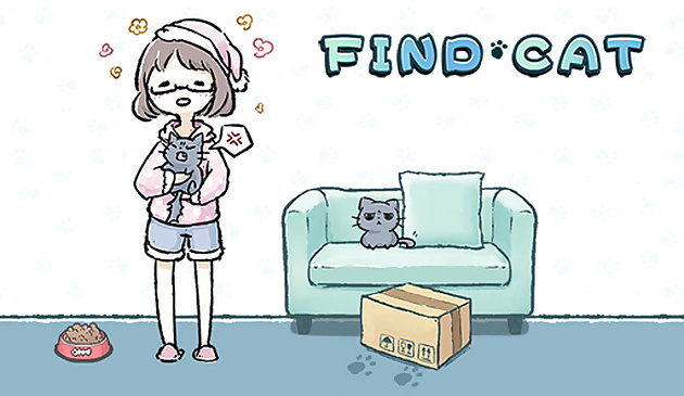 البحث عن القط