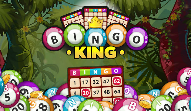 Bingo Kralı