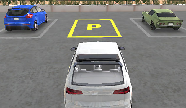 Estacionamento de carro real