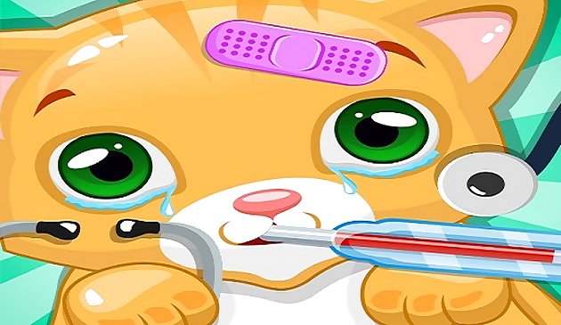 Permainan Dokter Hewan Peliharaan Kucing Kecil