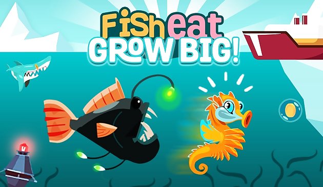 생선 먹는 큰 성장