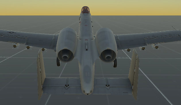 Simulatore di volo reale