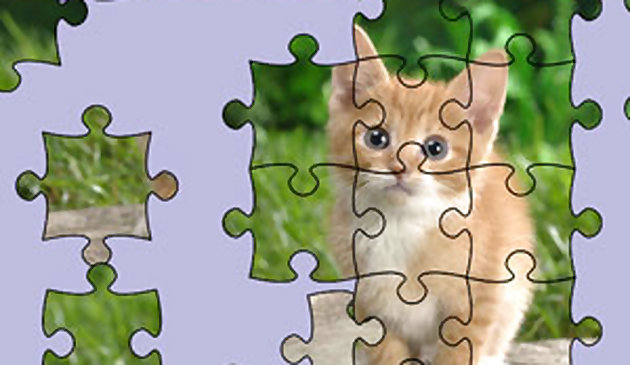 Puzzle: gattini carini