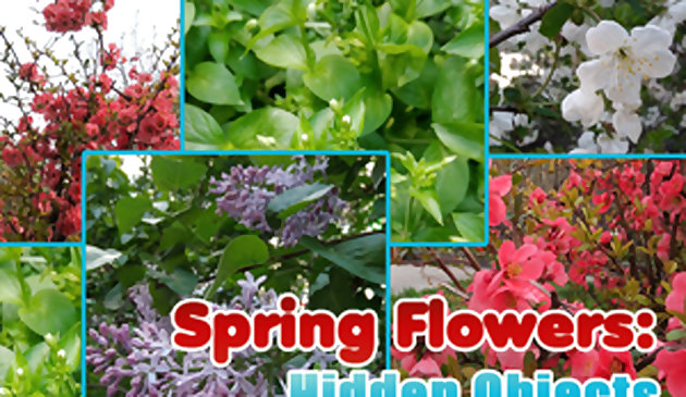 Flores da Primavera: Objetos Escondidos