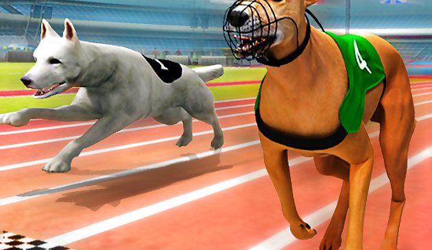 Simulateur de course de chiens réel 3D
