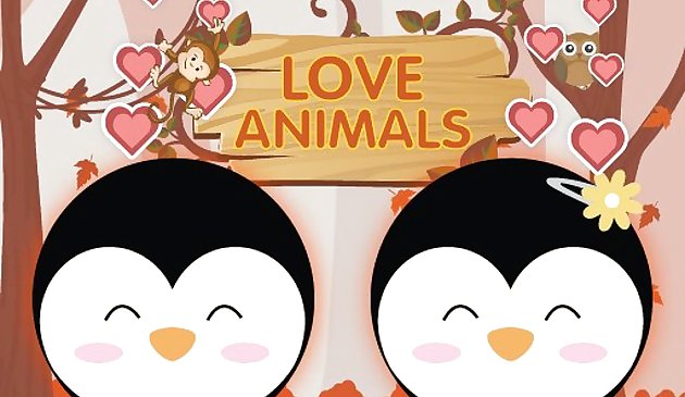 爱动物