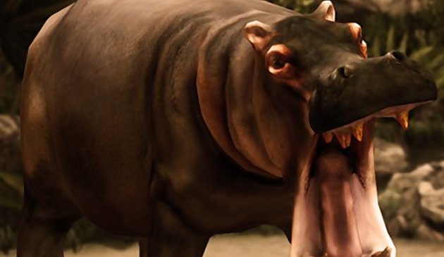 Caça silvestre hipopótamo