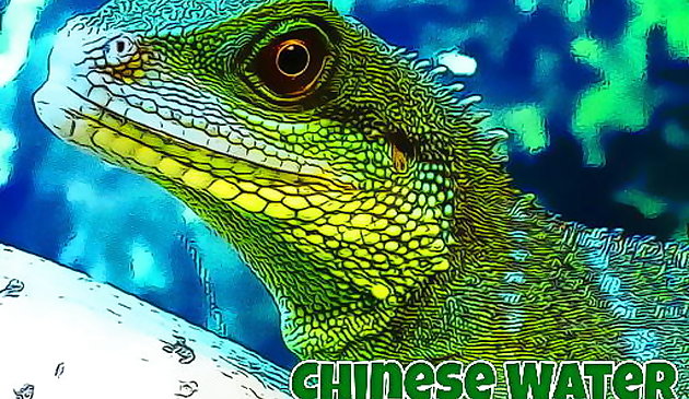 Puzzle chinois du dragon d’eau