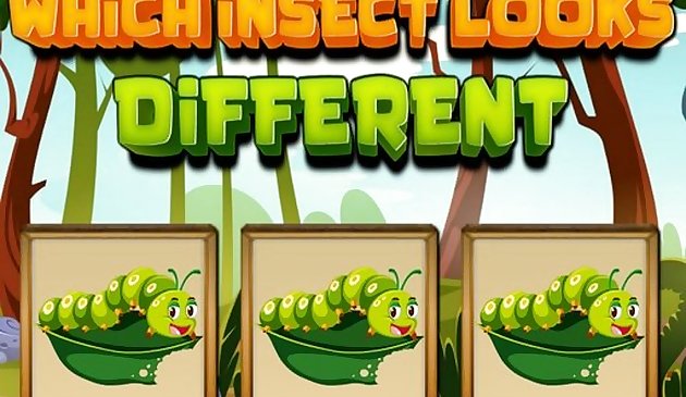 Hangi böcek farklı görünüyor