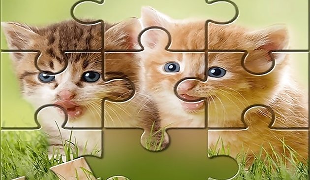 Cute Cats Puzzle juego ftree