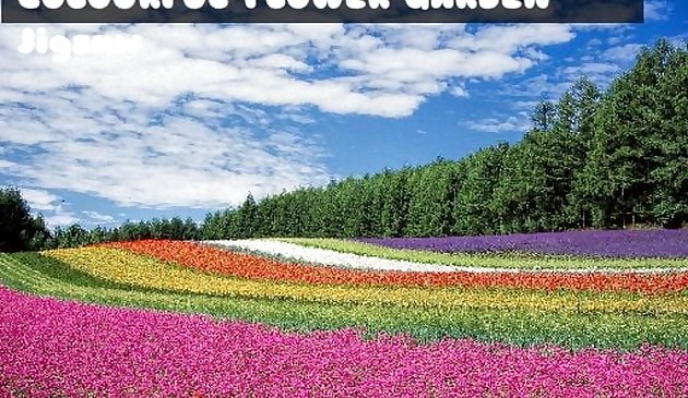 Puzzle colorato del giardino fiorito