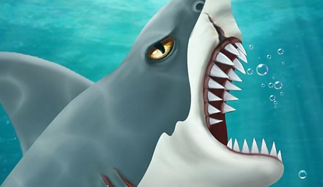 Атака акулы кэжуал