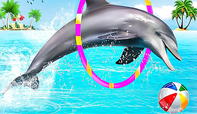 Dolphin Water Stunts Ipakita