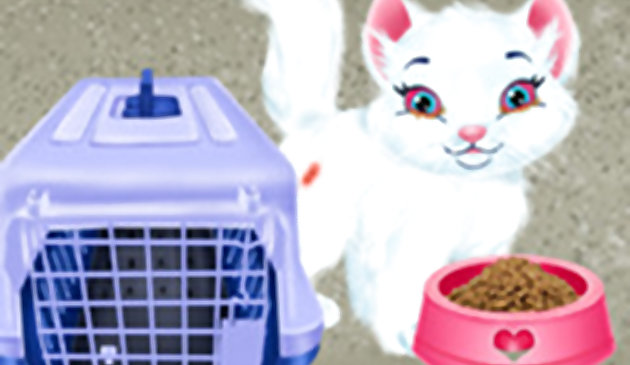 Baby Taylor Pet Care - Cứu những con vật dễ thương