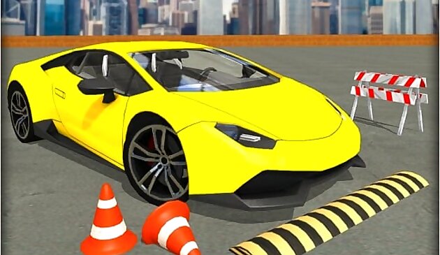 Simülasyon Araba Yarışı Simülatörü