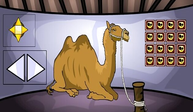 Escape en camello