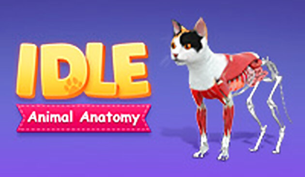 IDLE Anatomía Animal